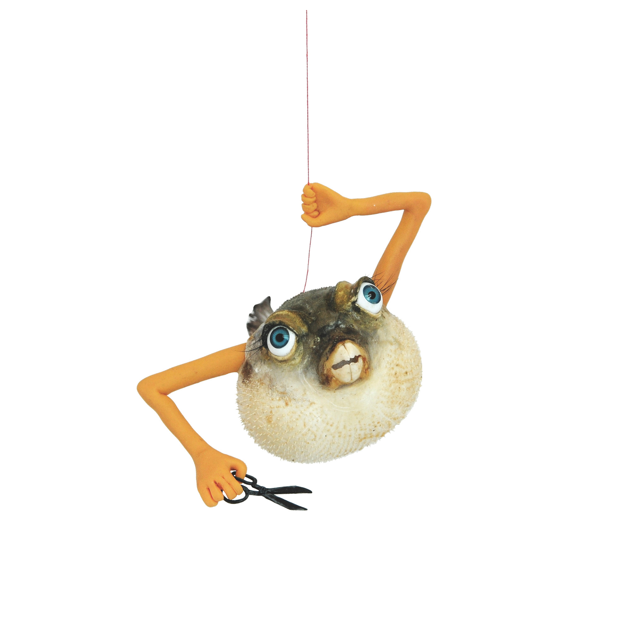 knipvis
