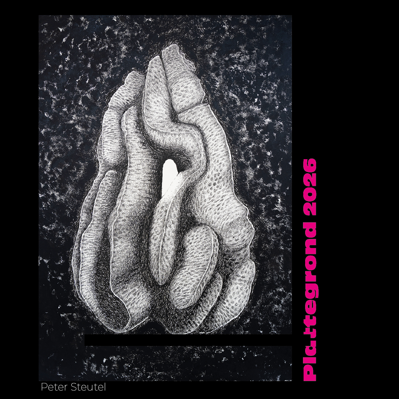 Tegel 2 Plattegrond 2026