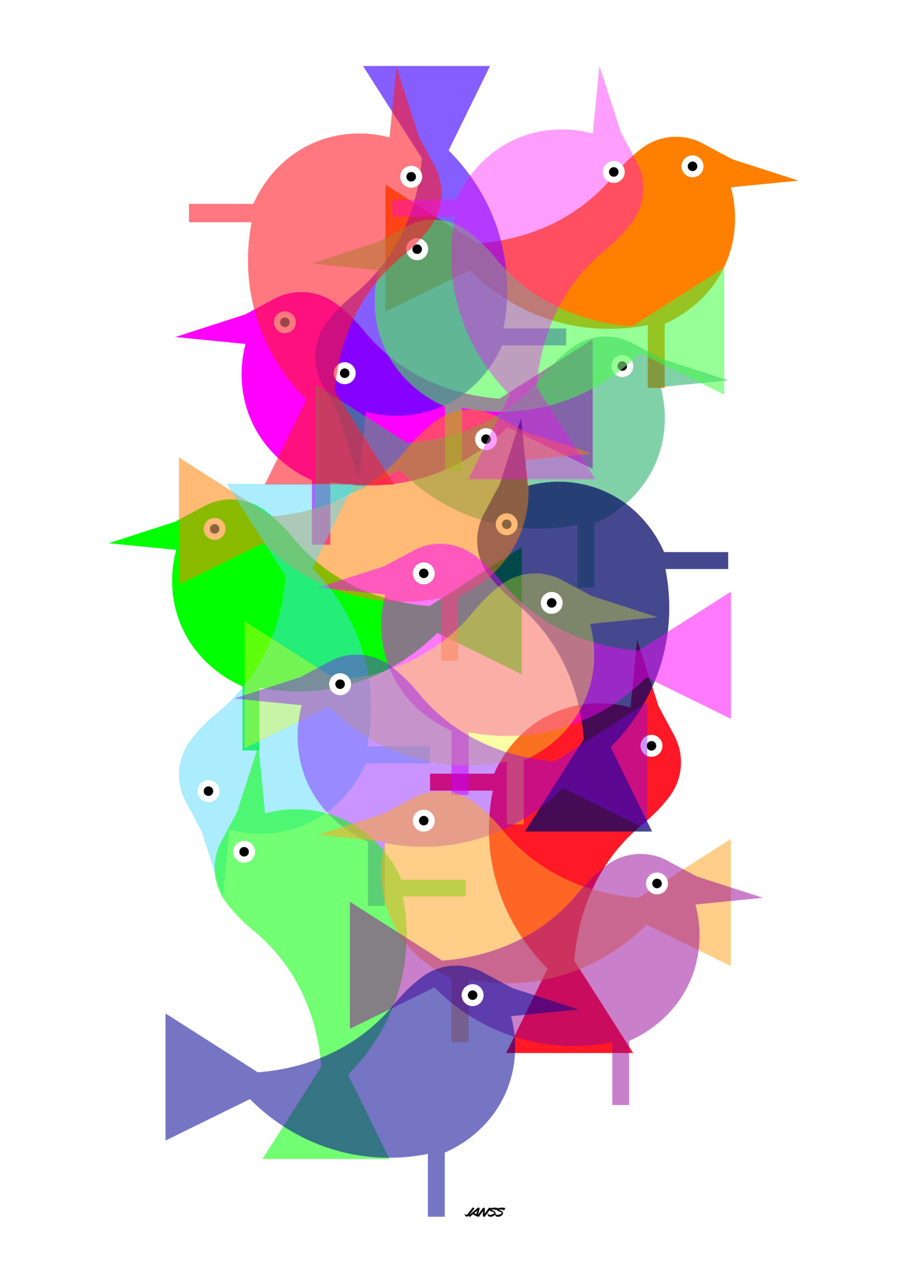 birds